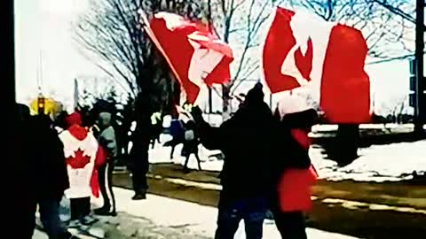 AMBASSADOR BRIDGE HOMELAND SECURITY FREEDOM TRUCKERS