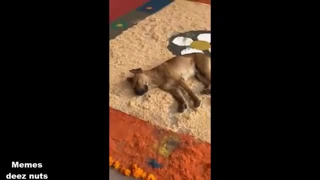 Tiktok Funny Memes 2022 Part 4