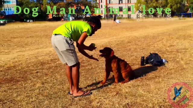 Unique third Eye,naughty dog playing with dog||funny dog|funny cat|cute animals