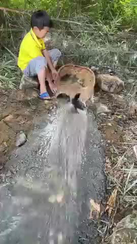 smart little boy uses a unique and amazing fishing skill to catch cat fish