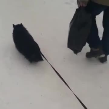 You want the drinks you carry them home 🤣