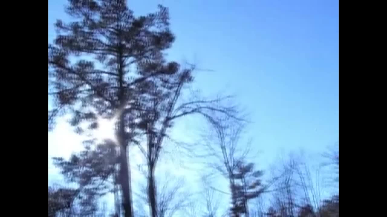 Mom Hits Wiffle Ball Straight At Dad's Face