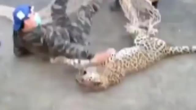 When the tranquilizer hasn’t fully wore off yet