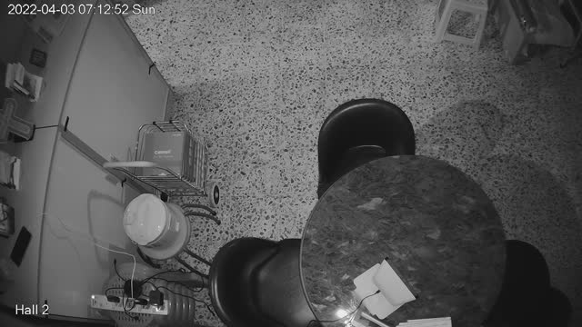 hallmid midnight 20220403