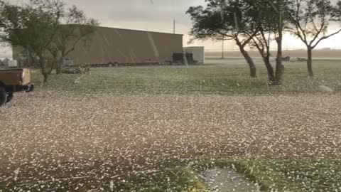 Golf Ball Sized Hail Rains Down in Texas