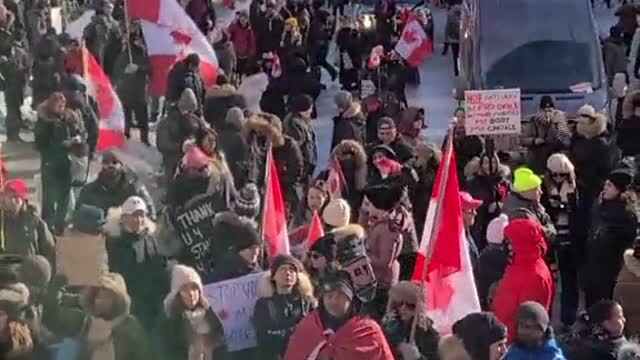Freedom Convoy Party hits Toronto!
