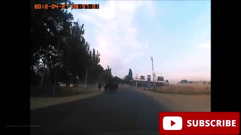 Funny Dash Cams Videos 2022