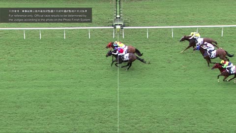 Horse_Race_2022060502_English