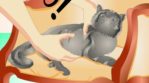 Train your cat to stay off the furniture