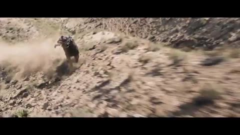 NEW MOVIE TRAILERS 2024 | 4K ULTRA HD