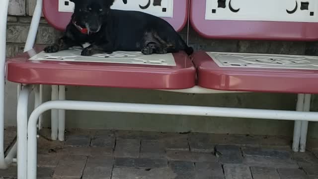 Meditation and connecting to God, this is Biblical