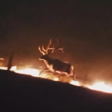 Half of Wyoming is BURNING right now