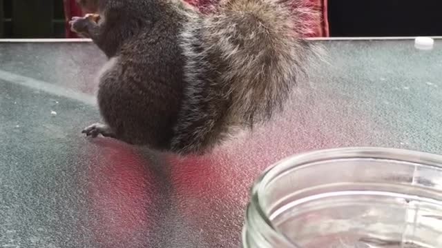 Fred Stopped By For A Hello