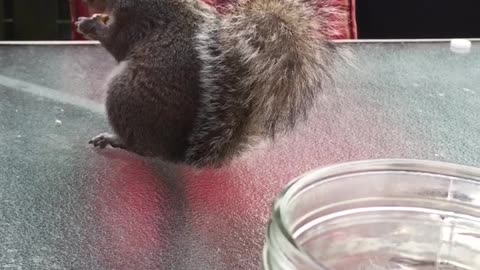 Fred Stopped By For A Hello