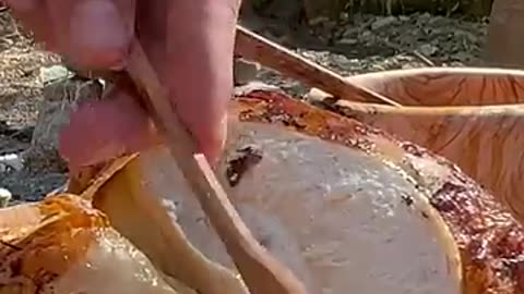 Salt Crusted Chicken