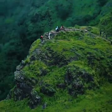 mesmerizing forest and nature whatsapp status video. western ghats // really very wonderful 🤭💥