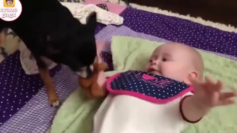 Dogs_and_baby_funny_Moments__Cute_dogs_cuddling_and_playing_with_babies__Dog_&_baby_compilation