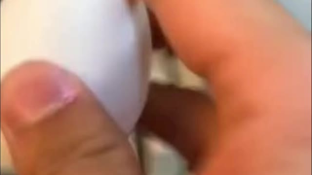 Egg travelled around the world