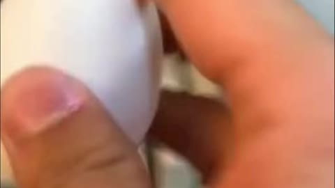 Egg travelled around the world