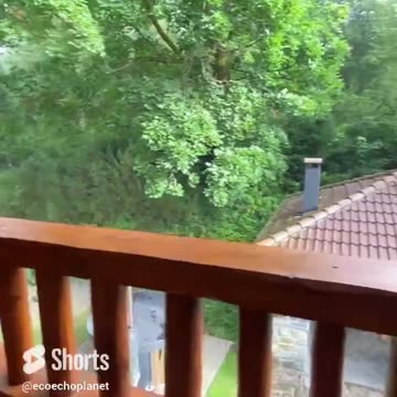 😌Relax and Renew on Heaven on Earth! Vol 152 🧘🏽