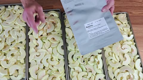 Freeze Drying - Batches 665 & more - Newtown Pippins and Golden Delicious Apples