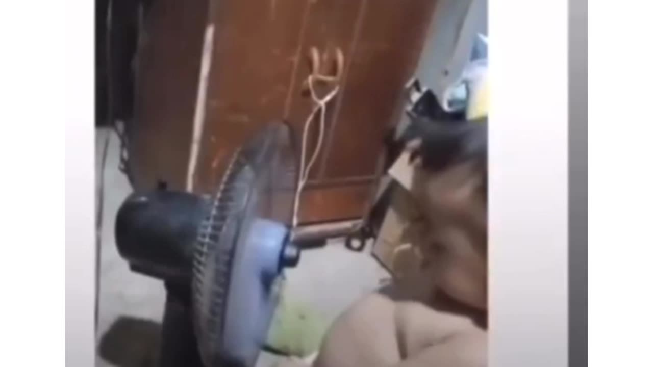 Fanny videos