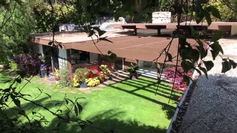 At the request of Toni and Robert, a short video showing my backyard and hyperbaric oxygen chamber.