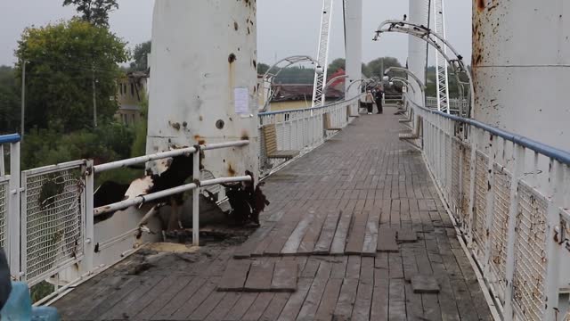 Raisins after deocirculation