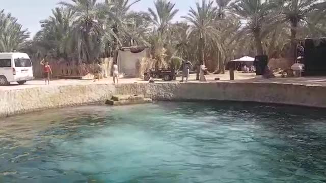 Siwa oasis-Egypt - Cleopatra pool