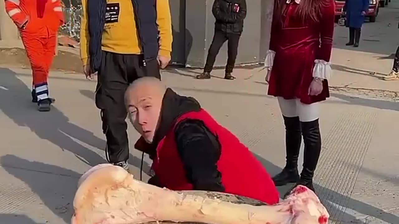 Best Funny Video - 12