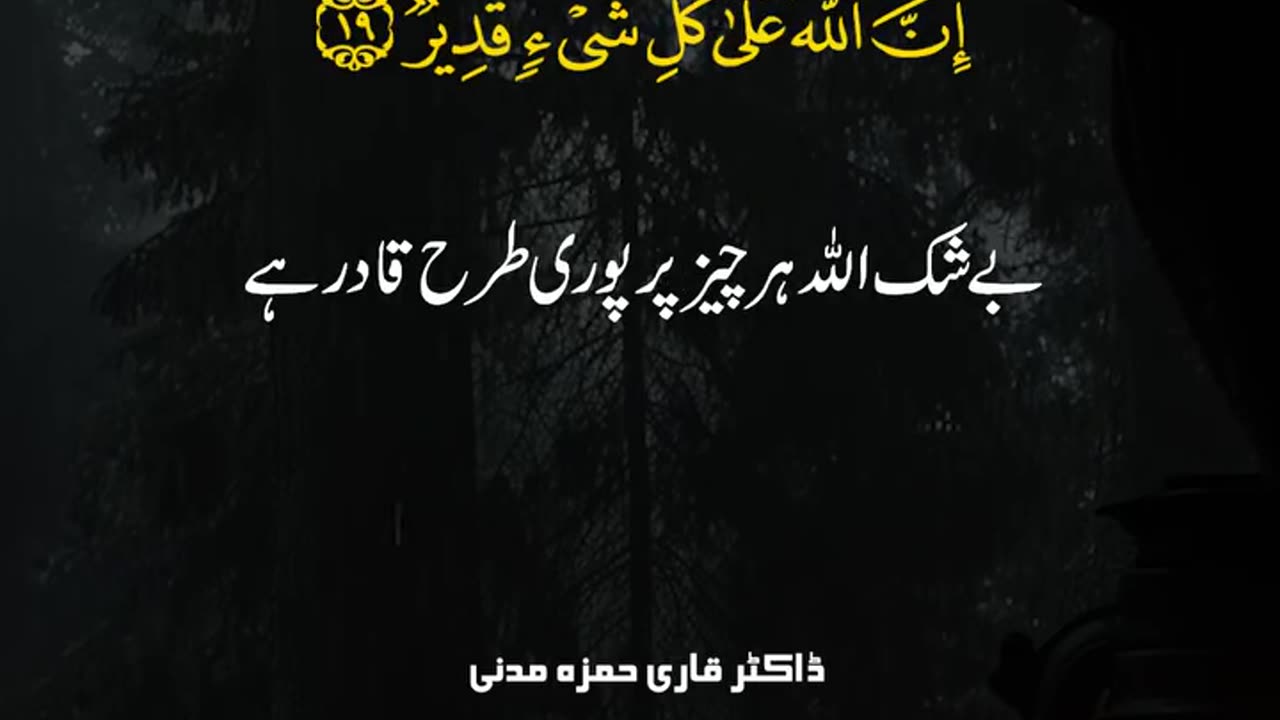 Recitation