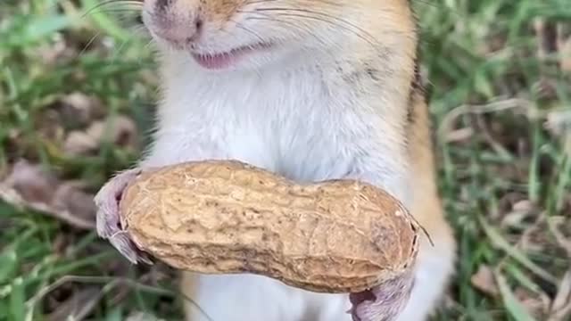 Amazing video #amazing