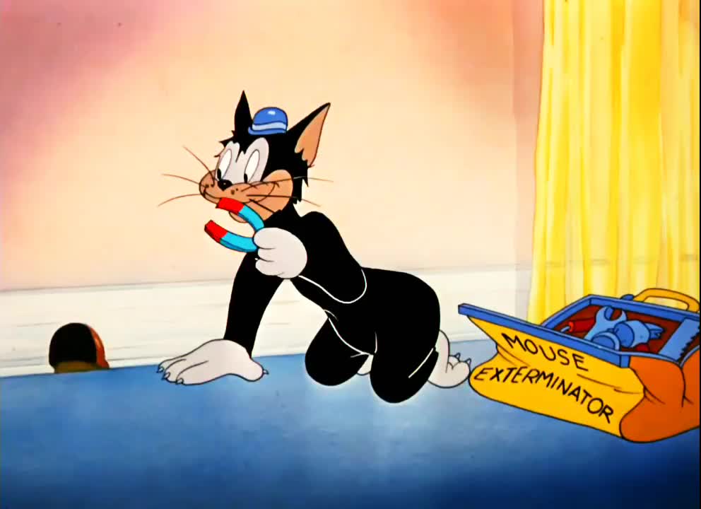 How tom caught jerry, funny cartoon videos, cartoon videos, funny kids videos