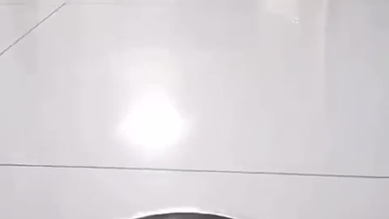 Cute cat and funny cat together loving video