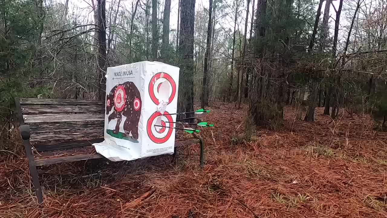 Just some arrows hitting a target...