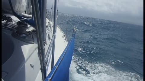Sailing - Antigua 2013