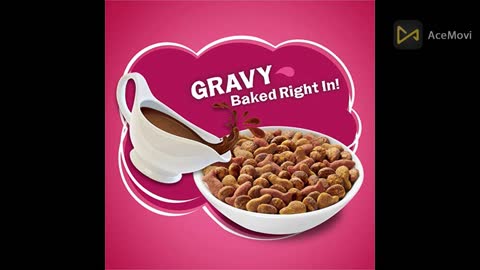 Purina Friskies Dry Cat Food, Gravy Swirlers - 22 lb. Bag 2022