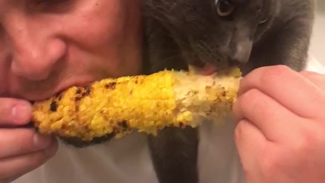 Real friends share corn together