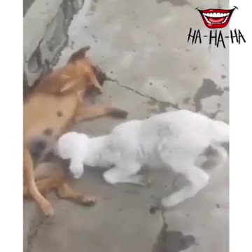 This is awesome 😎 when she needs it