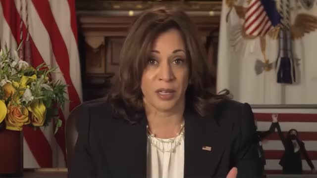 Kamala Harris: "Women Are Getting Pregnant Every Day in America, and This Is a Real Issue"