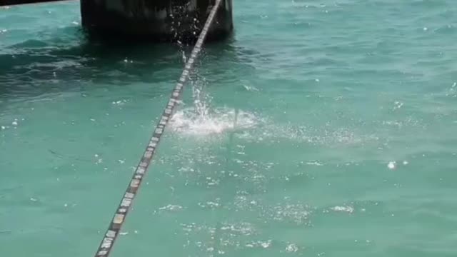 Balancing and Flipping on a Slack Line