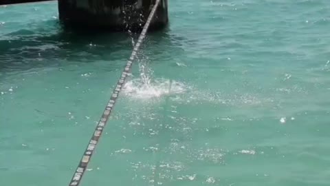 Balancing and Flipping on a Slack Line