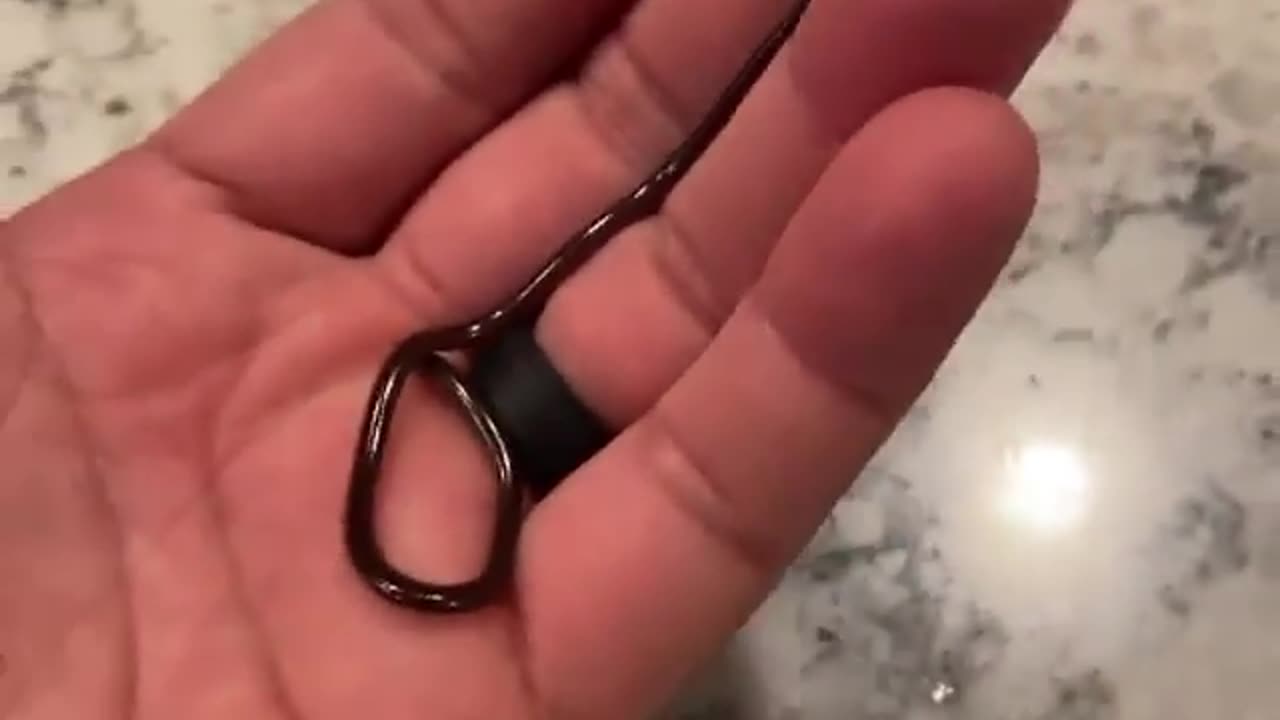 Wildlife