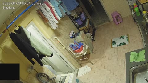 kitchen midnight 20220420