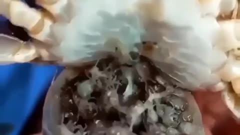 Cute and adorable animal behavior makes anyone happy to see it
