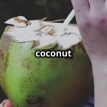 Water vs Coconut Water vs Gatorade Best for Hydration