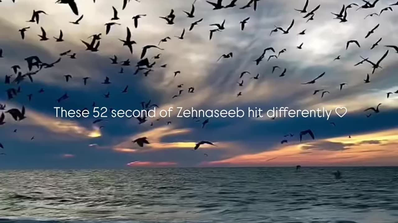 52 sec of Zehnaseeb without music ❤️‍🩹✨