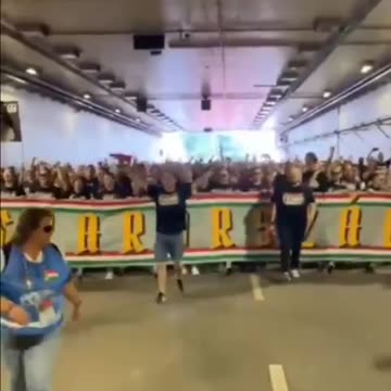 DÖP DÖDÖ DÖP - BETTHUPFERL