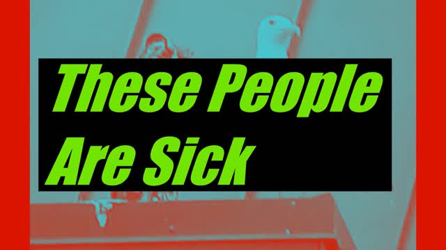 Why Did Youtube Remove This Video? I'm Perplexed - June 17 2021