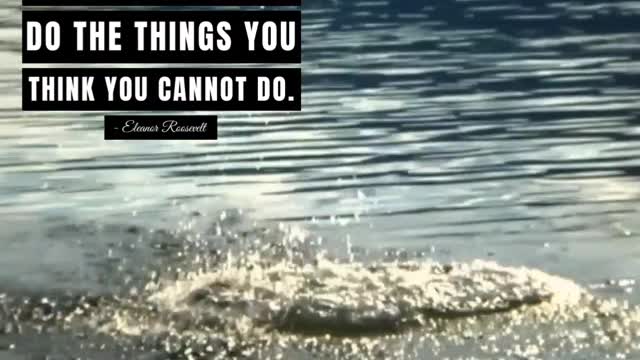 You Must Do the Things You Think You Cannot Do